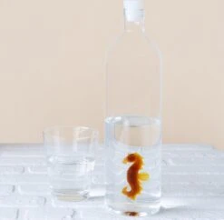 Balvi Waterfles - Zeepaard -Keukengerei Verkoop 1200x1178 2