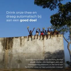 Soolong Theepot - China - Theeset - Kungfu - 6pcs - 1stuks -Keukengerei Verkoop 1200x1200 1350