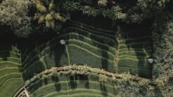 Sola Bestekset Bali - Modern - 9 Persoons - 90 Delig - Zilverwit Edelstaal 18/10 - RVS - Zilver 8 Sola Bestekset Bali - Modern - 9 Persoons - 90 Delig - Zilverwit Edelstaal 18/10 - RVS - Zilver -Keukengerei Verkoop 1200x675 1