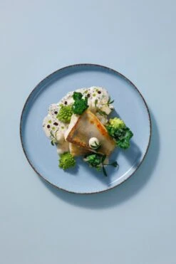 Palmer Serviesset Antigo Porselein 6-persoons 24-delig Lichtblauw 15 Palmer Serviesset Antigo Porselein 6-persoons 24-delig Lichtblauw -Keukengerei Verkoop 800x1200 37