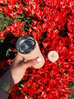 Retulp - Tumbler Thermosbeker – Champagne Pink – 300 Ml - Thermosfles - Roze -Keukengerei Verkoop 899x1200 13